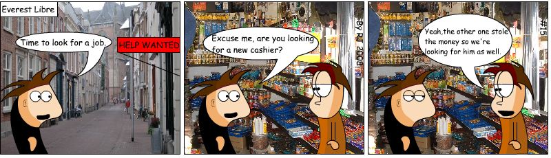 #15-The Cashier
