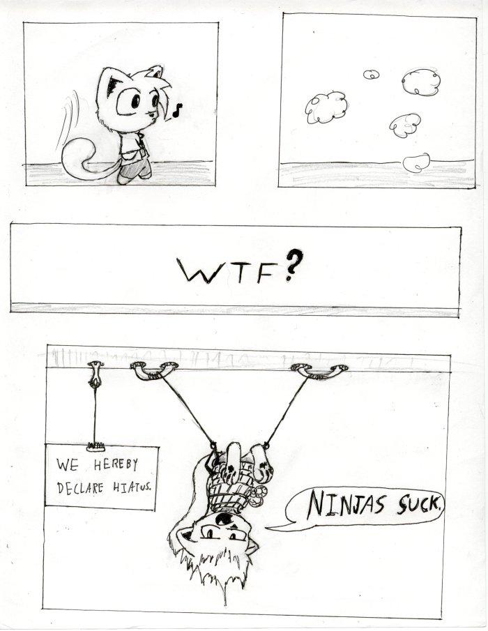 Ninjas are jerks.