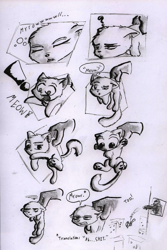 FLY, KITTY! FLYYYYYYY!