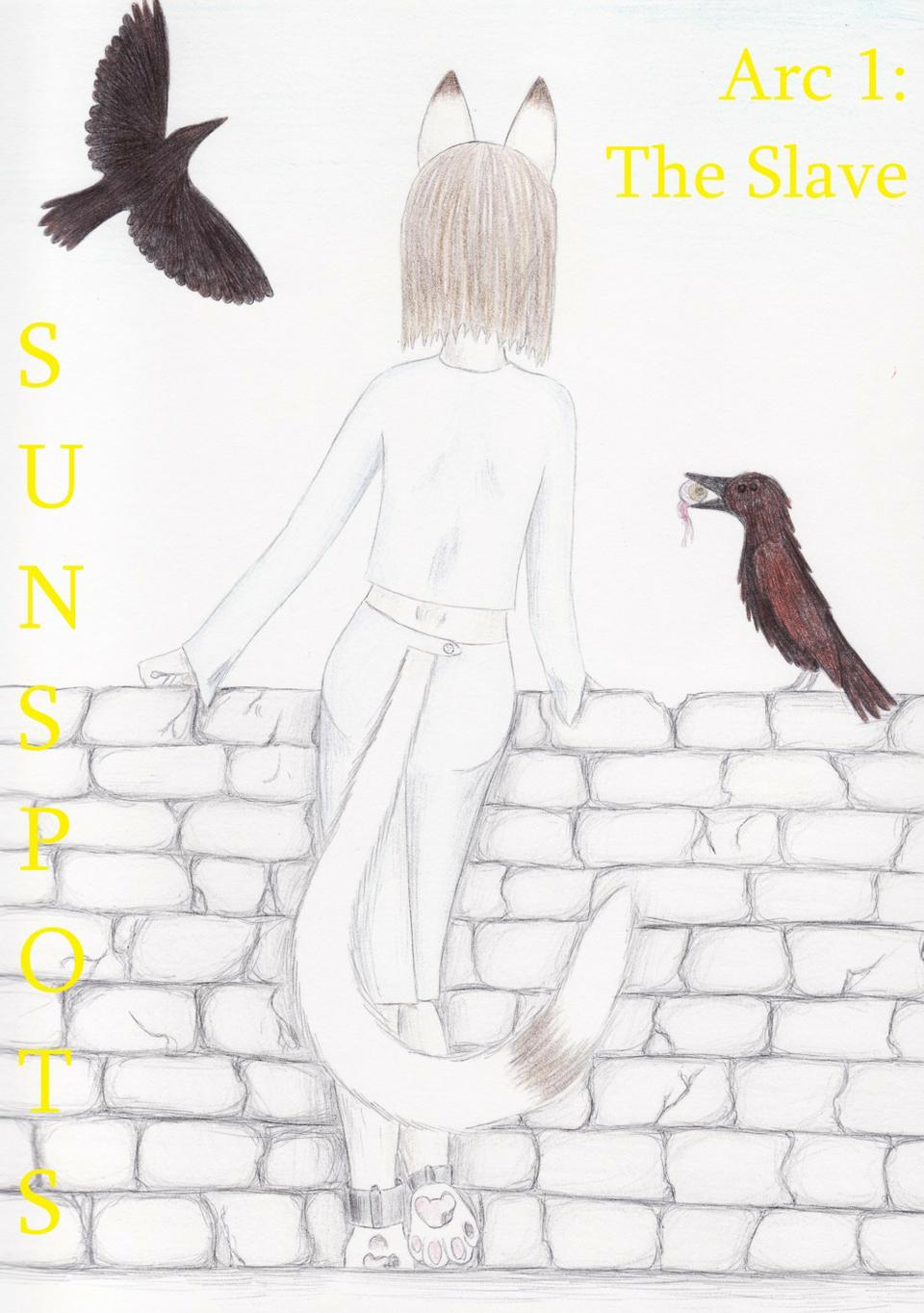 SunSpots: The Slave