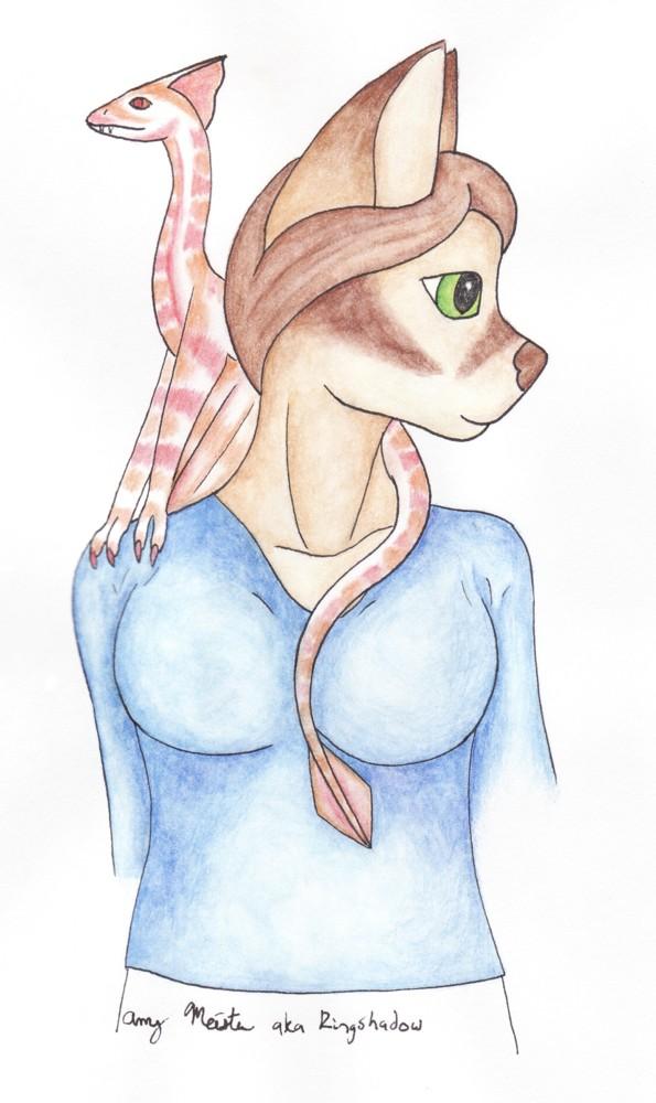 Skip Week: Atiel watercolor pencil test
