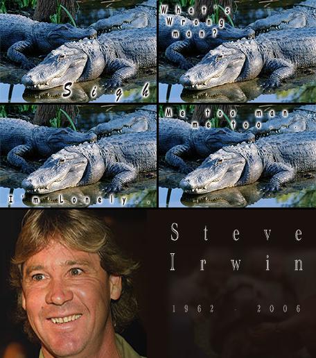 Tribute to Steve Irwin