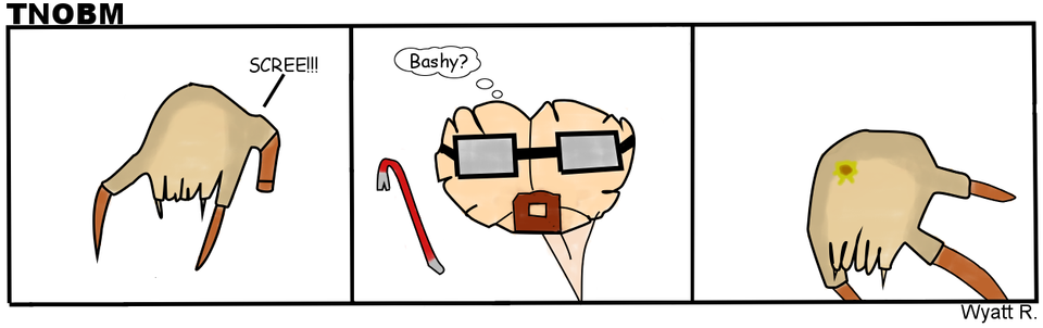 #005: Bashy?