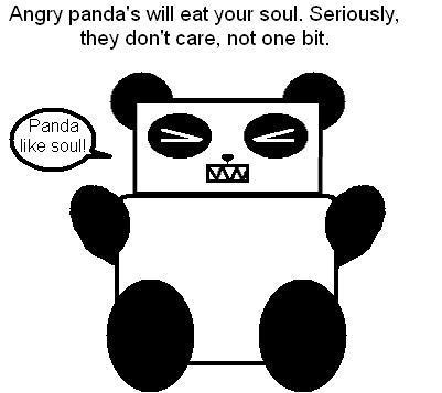 Angry Panda!!!