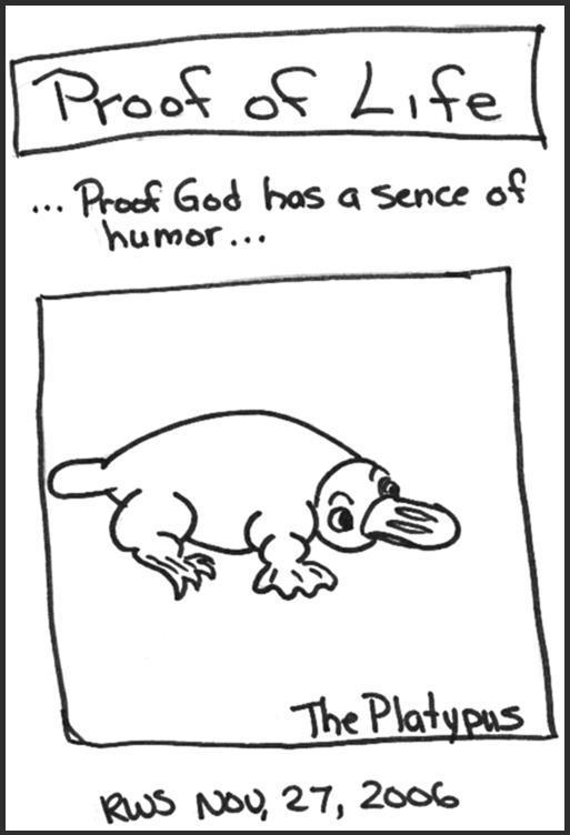 God's Humor 1