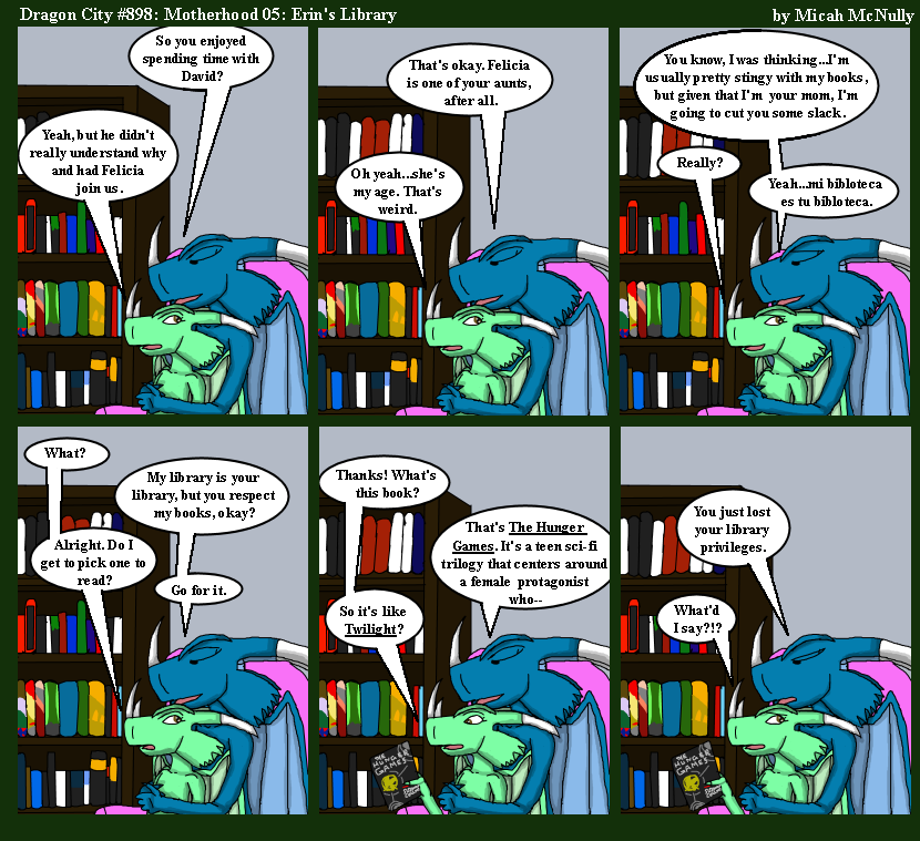 898. Motherhood 05: Erin's Library