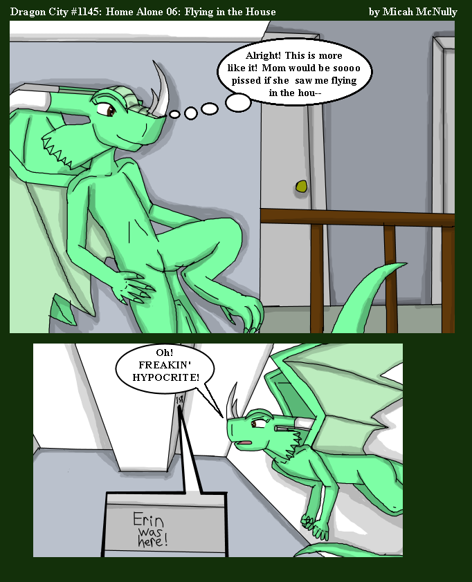 1145. Home Alone 06: Flying in the House