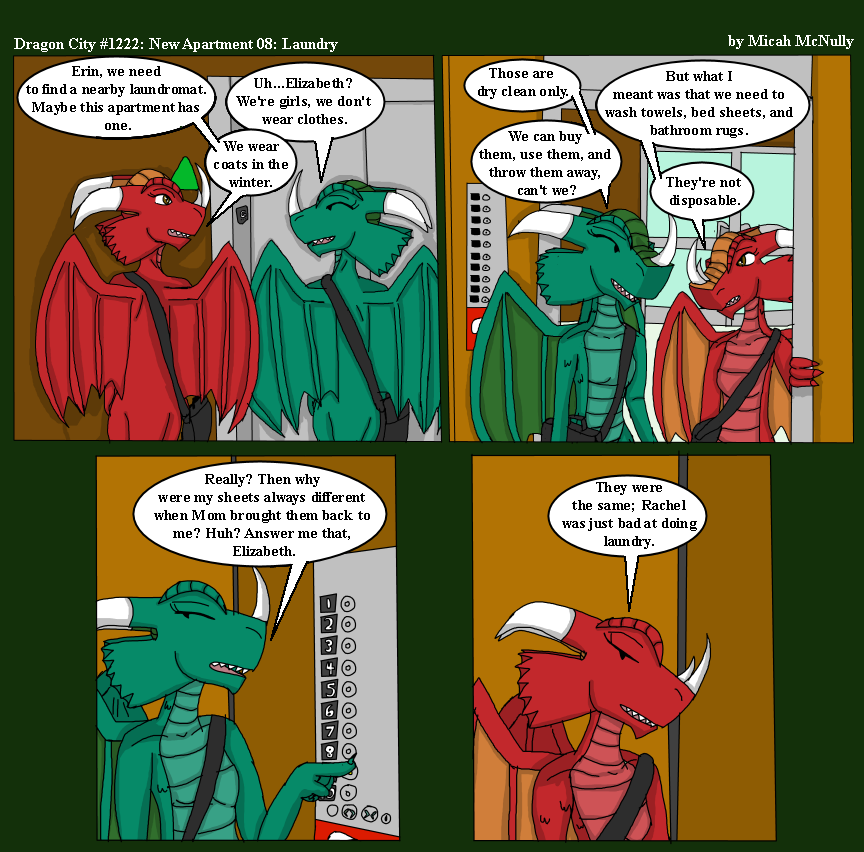 1222. New Apartment 08: Laundry