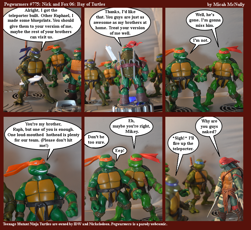 775. Nick and Fox 06: Bay of Turtles