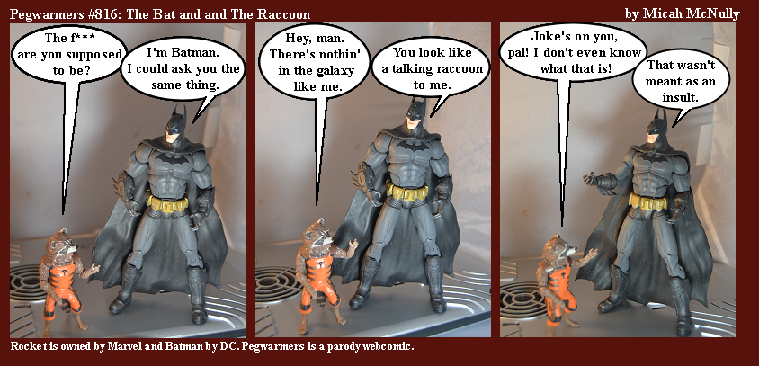 816. The Bat and the Raccoon