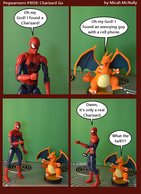 1058. Charizard Go