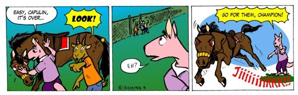 Rondy & Company (in English) - Adventure at the park, 9th strip