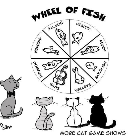 Cat Game Shows