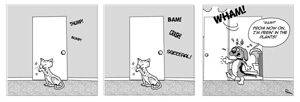 A Short Lived Experiment