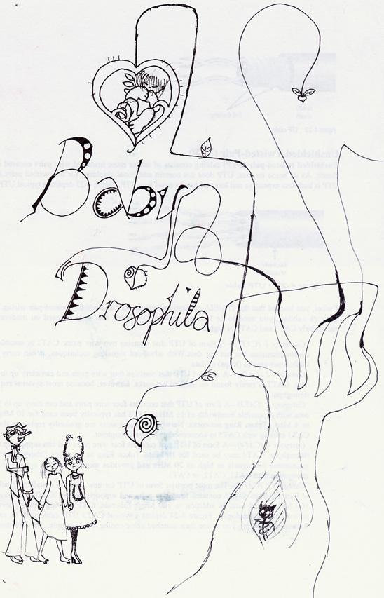 Baby Drosophila Title Page