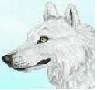 Go to Shewolf2's profile
