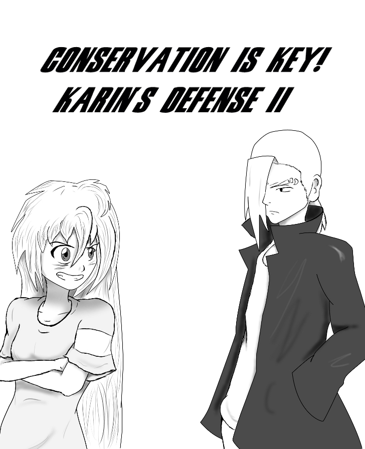 7. Karin's Defense II