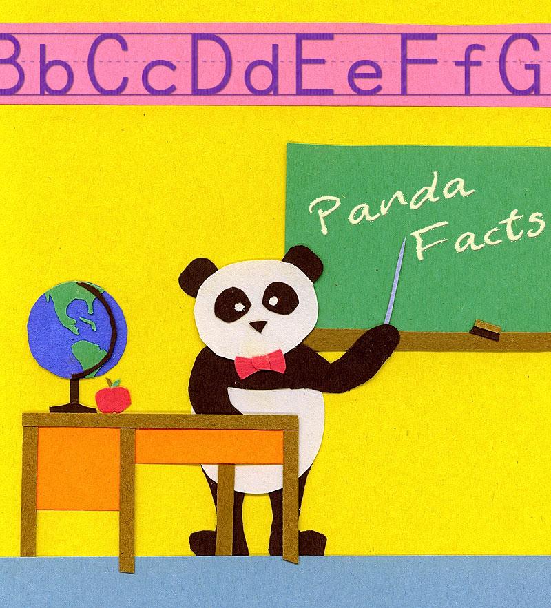 Panda Facts: Mini Chapter One