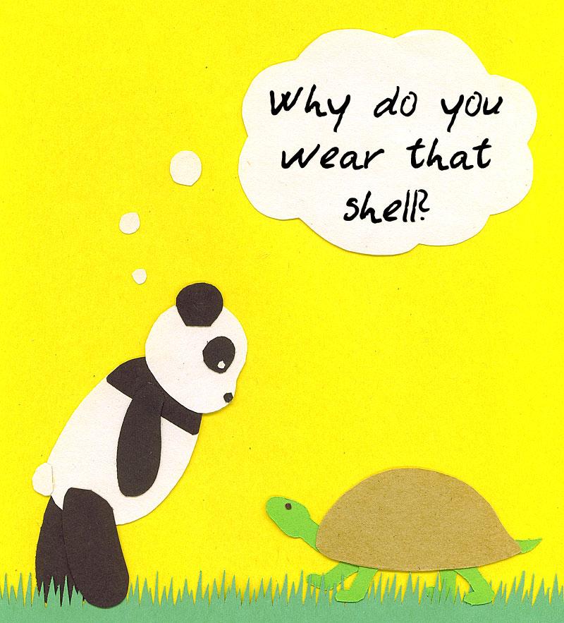 Why do you wear that shell?