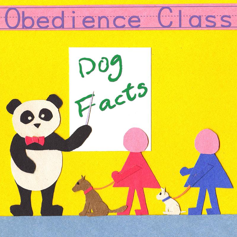 Dog Facts: Mini Chapter Three