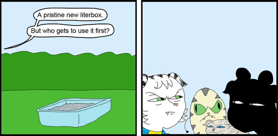 799 - A new litter