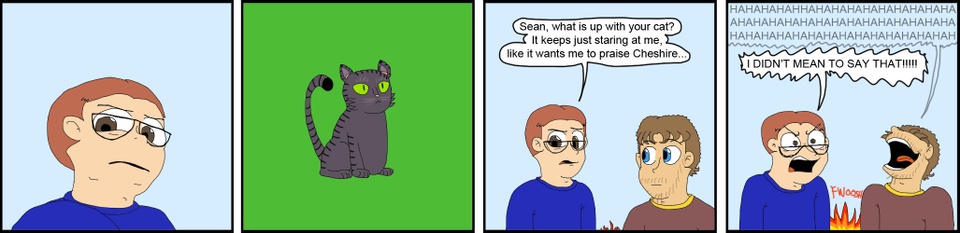 821 - The cat stare