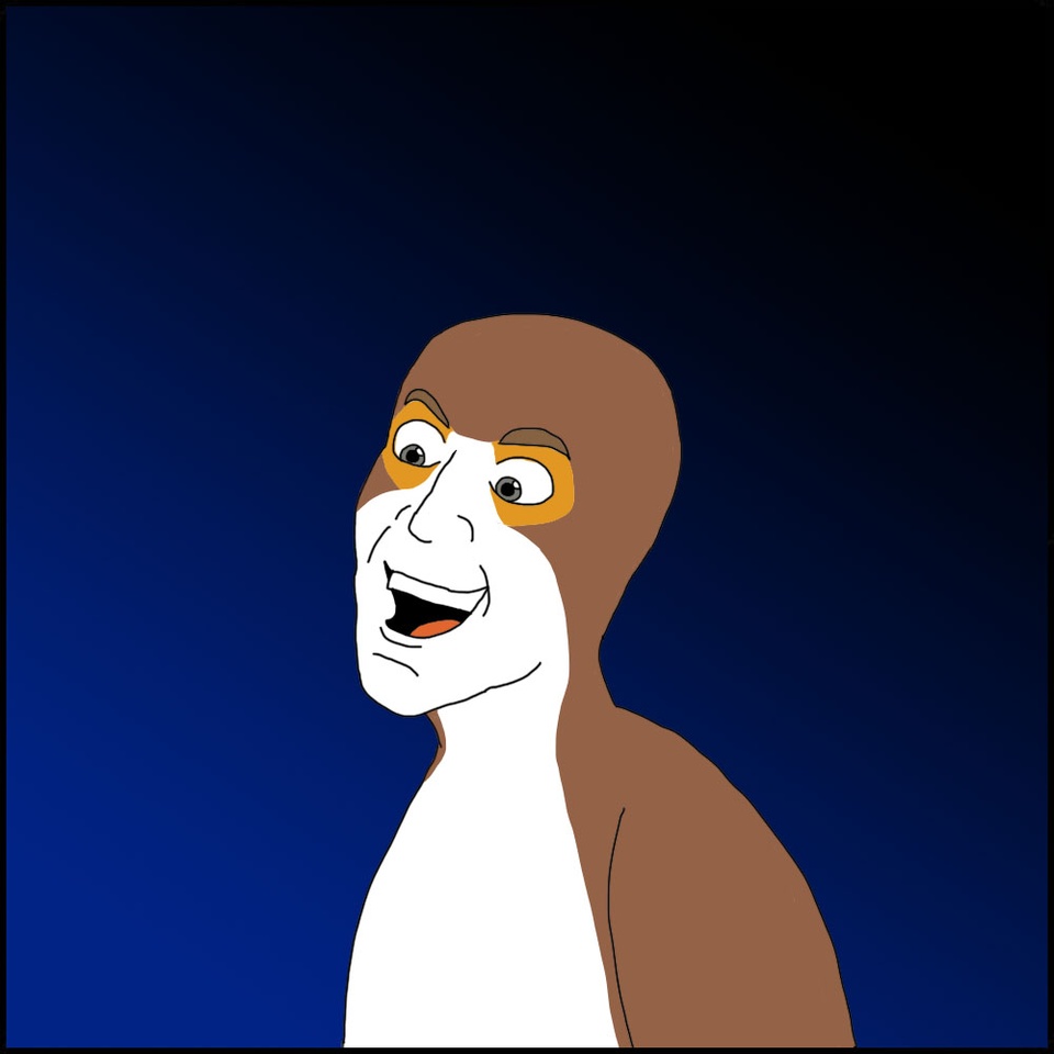 The porg is watching