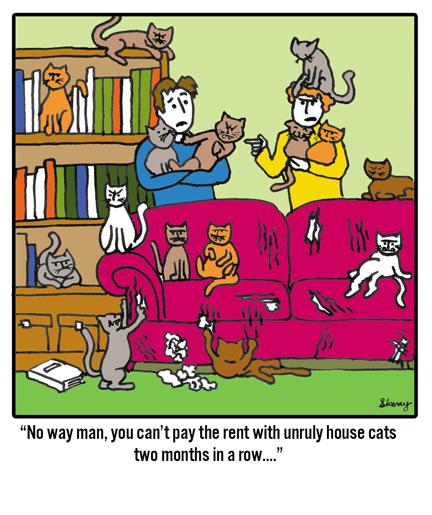 www.skerry.ca - Housecats