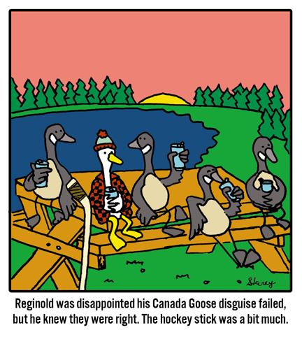 www.skerry.ca - Canada Goose