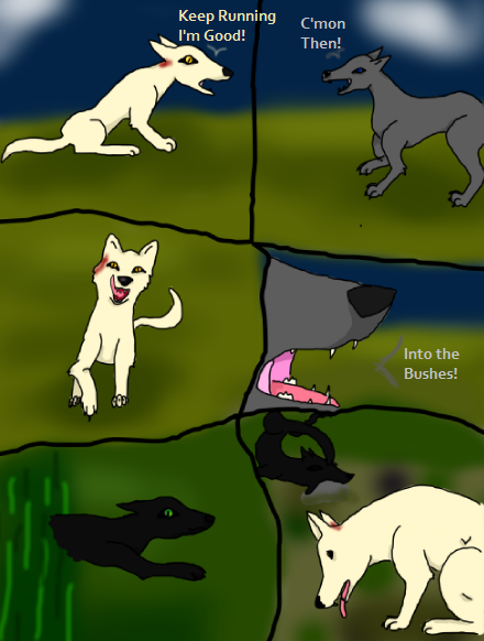 Dingoes- Page 3