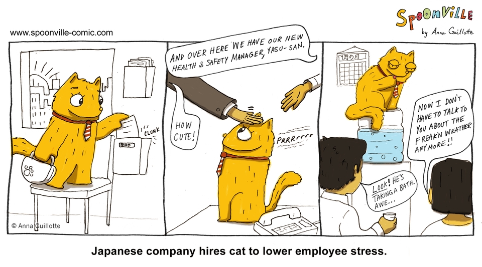 Yasu-san The Office Cat