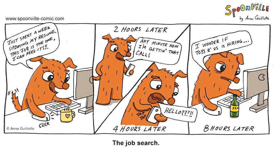 The Job Search