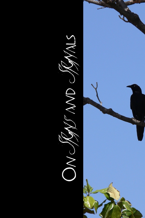 Chapter One Frontispiece