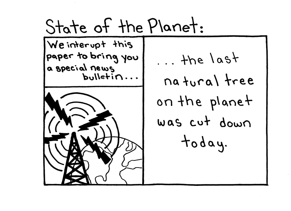 State of the Planet: The Last Tree