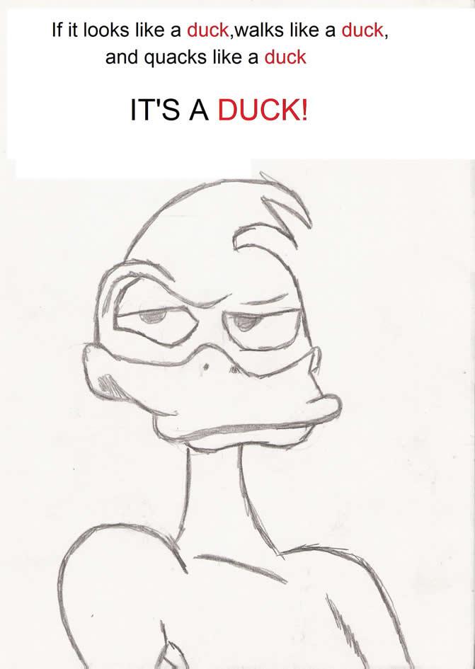 It's a duck