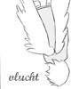 Vlucht