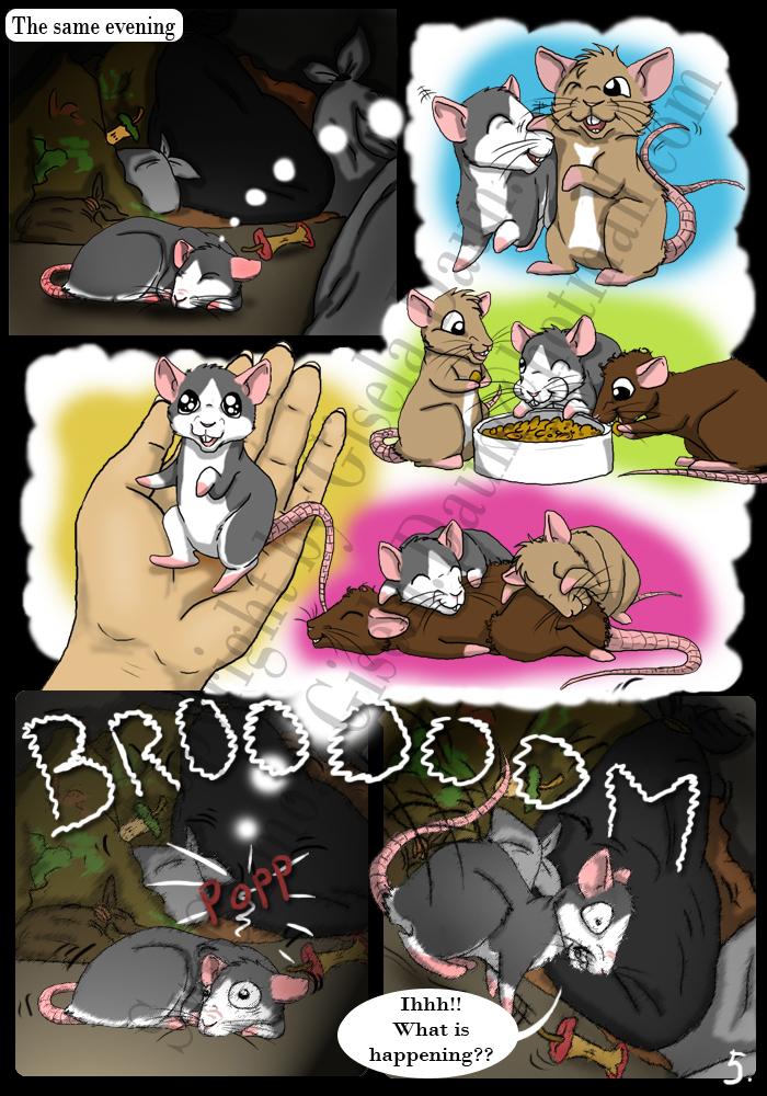 The rat story. Page 5.