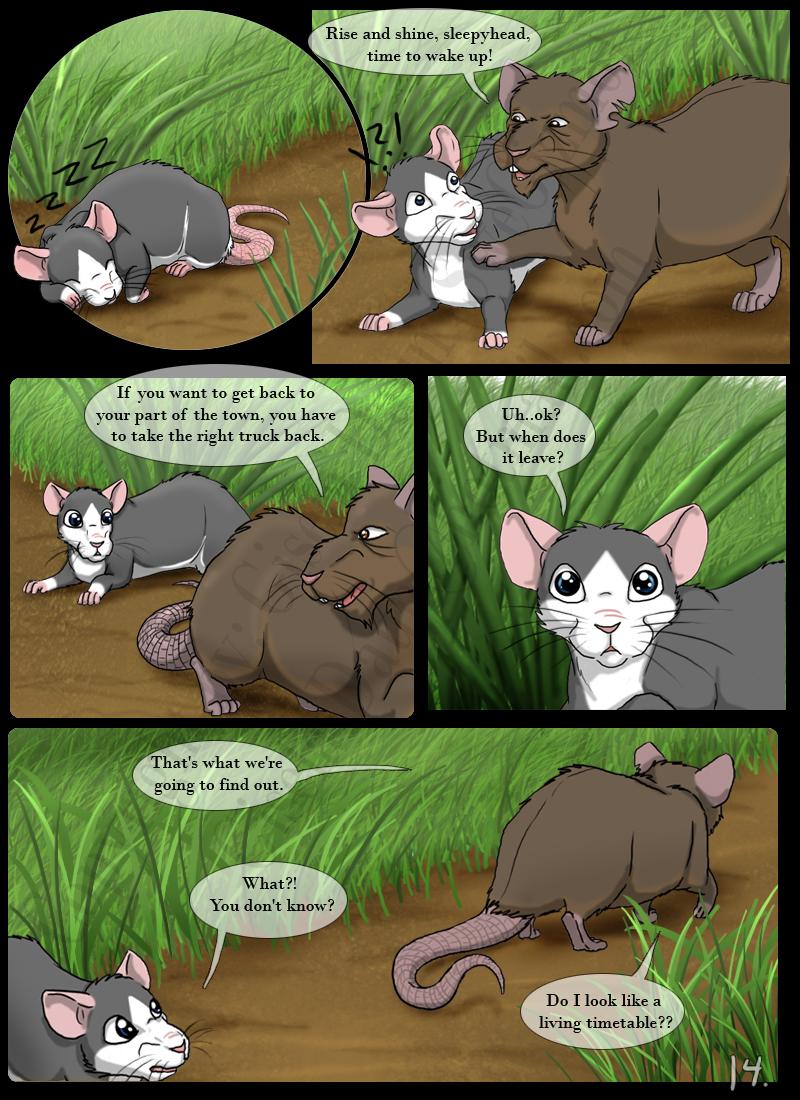 The rat story. Page 14.