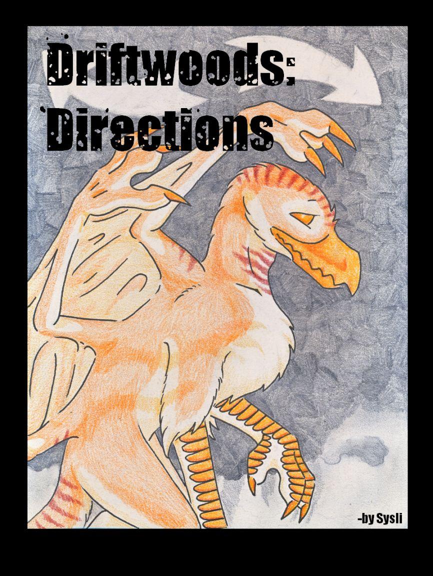 Cover: Directions