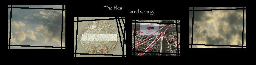 28: the flies...