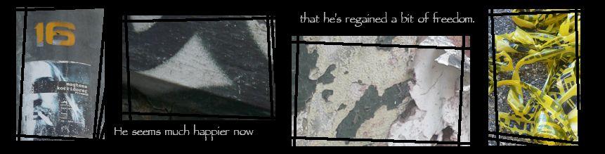 31: A bit of freedom