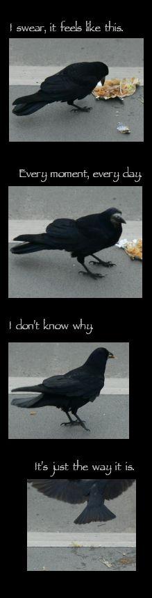 Experiment: The way it is