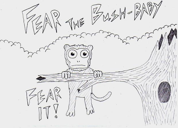 Bush Baby