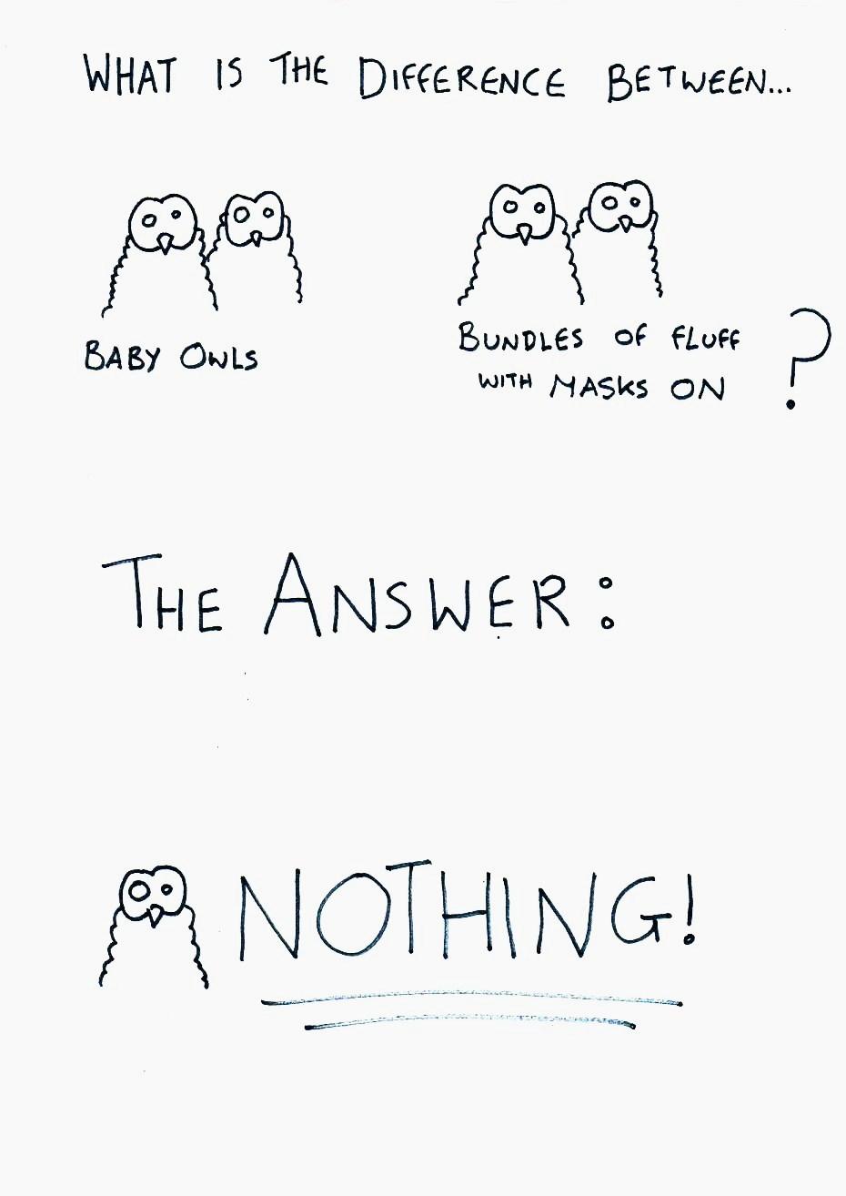 OWLS