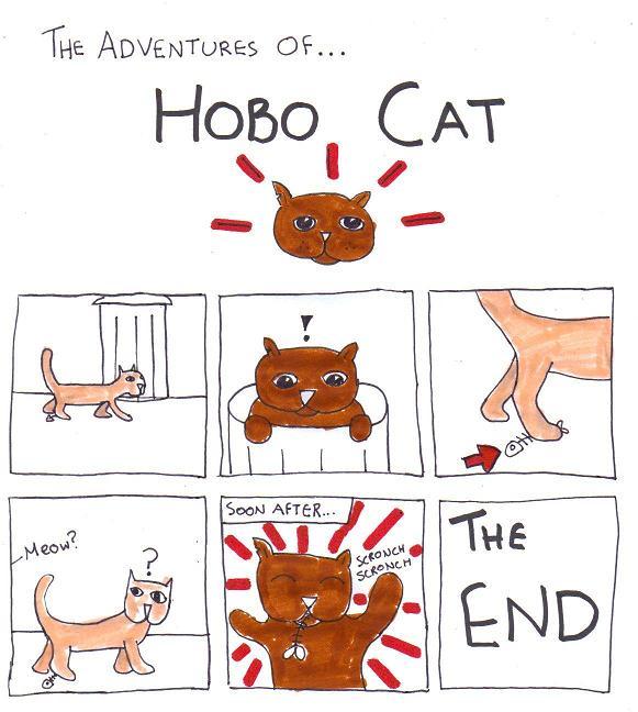 Hobo Cat