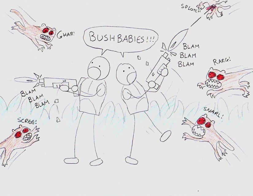 Bush Babies