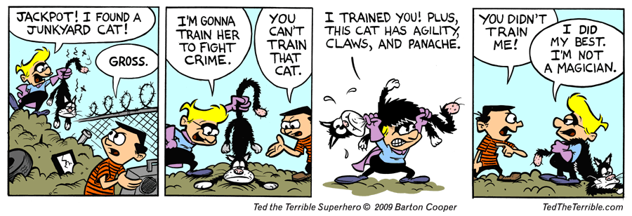 Cat Training