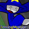 Go to TerminalMontage's profile