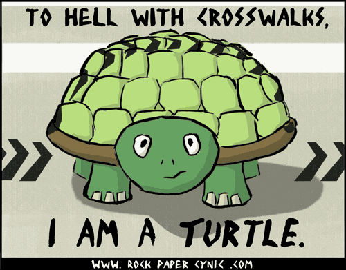 #31 - Turtle