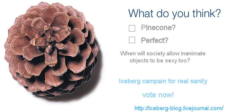 pinecone!